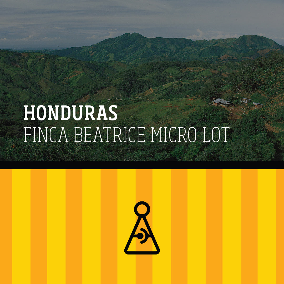 HONDURAS FINCA BEATRICE ESPRESSO