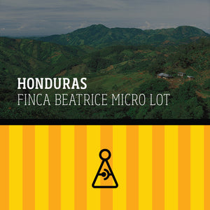 HONDURAS FINCA BEATRICE FİLTRE
